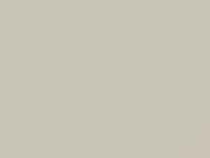Volkswagen Candy White touch up paint 9021 2020 All Models