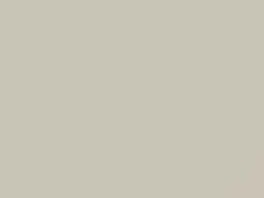 Volkswagen Candy White touch up paint 9021 2020 Up