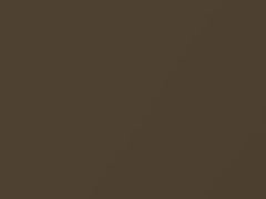 Golden Umber Mica touch-up paint for Toyota Venza, code 4U2, 2012