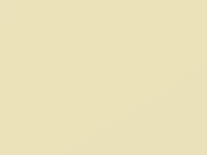 Light White touch-up paint for Smart Fortwo, code C04L, 2004