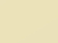 Light White touch-up paint for Smart Fortwo, code C04L, 2008