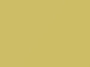 Mellow Yellow touch-up paint for Volkswagen Beetle, code B1D, B3, LB1D, 2006