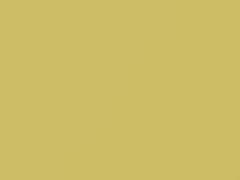 Mellow Yellow touch-up paint for Volkswagen Beetle, code B1D, B3, LB1D, 2006