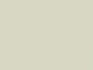 Weiss Pearl touch-up paint for Volkswagen, code 91293, G9D, 2005