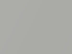 Grigio Perbene Metallic touch-up paint for Fiat 500, code 602A, 2007