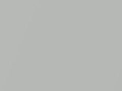 Silver Metallic touch-up paint for Ford, code M6895A, 2008