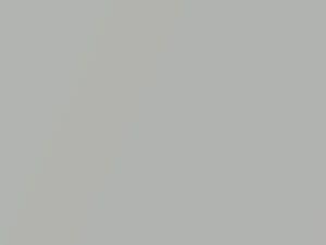 Silver Frost Metallic touch-up paint for Mercury Cougar, code 11M, TU, XY1, 1998