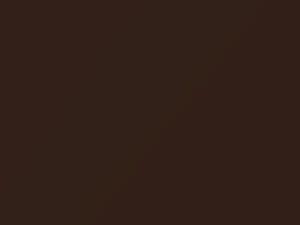 Volkswagen Nutshell Brown Metallic touch up paint D8X 2018 All Models