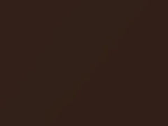 Volkswagen Nutshell Brown Metallic touch up paint D8X 2018 All Models