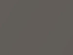 Volkswagen Mojave Beige Metallic touch up paint 1B 2017 All Models