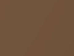 Desert Tan Metallic touch-up paint for Ford, code 9N, AT, M5916A, 1989