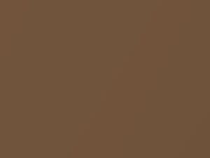Desert Tan Metallic touch-up paint for Ford, code 9N, AT, M5916A, 1986