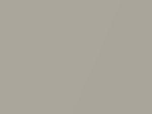 Smokestone Metallic touch-up paint for Ford Police Car, code 7148, HG, M7148A, 2010