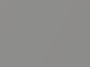 Tridion Silver Metallic touch-up paint for Smart, code EB5, 2020