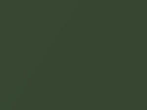 Jungle Green Metallic touch-up paint for Mini Countryman, code C15, 2015