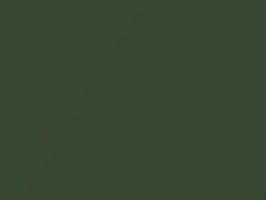 Jungle Green Metallic touch-up paint for Mini Countryman, code C15, 2015