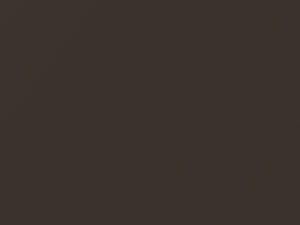 Dark Bronze Metallic touch-up paint for Chevrolet Corvette, code 7723, WA7723, 1985