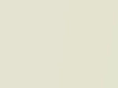 Pearl White touch-up paint for Kia Opirus, code U4, 2009
