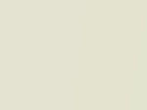 Pearl White touch-up paint for Kia Opirus, code U4, 2009