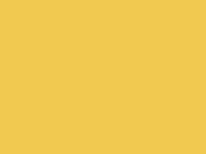 Creme Yellow touch-up paint for Volvo, code 607, 1995