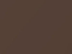 Desert Bronze Metallic touch-up paint for Toyota Land Cruiser, code 4P3, 2005