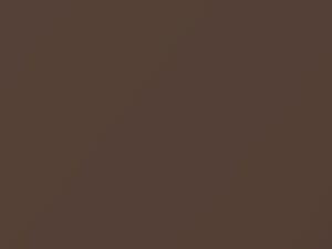 Desert Bronze Metallic touch-up paint for Toyota Land Cruiser, code 4P3, 2005