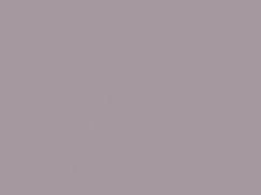 Lavender Metallic touch-up paint for Suzuki, code ZK1, 2007