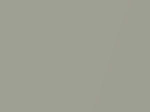 Gray Metallic touch-up paint for Nissan, code K44, 2005