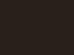 Audi Teak Brown Metallic touch up paint 4U 2008 A5