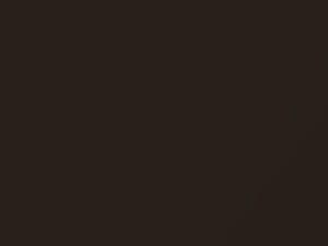 Audi Teak Brown Metallic touch up paint 4U 2016 Q7