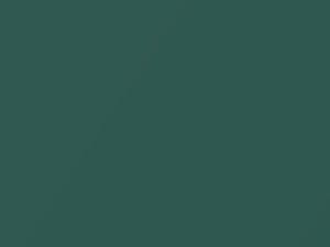 Verde Tasmania Metallic touch-up paint for Fiat Panda, code 389A, 2011