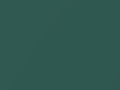 Verde Tasmania Metallic touch-up paint for Fiat Panda, code 389A, 2011