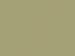 Gold Metallic touch-up paint for Nissan, code E61, 2020