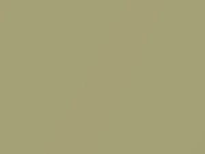 Gold Metallic touch-up paint for Nissan, code E61, 2020