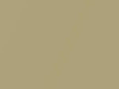 White Grape Metallic touch-up paint for Ford, code 669, 6EQC, 6EQCWWA, 6UNC, 2010
