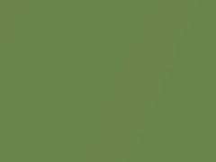 Sea Grass Green Metallic touch-up paint for Nissan, code J13, 2005