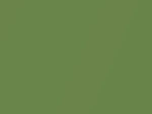 Sea Grass Green Metallic touch-up paint for Nissan, code J13, 2005