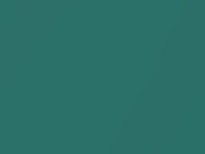 Verdigris Metallic touch-up paint for Ford, code 684, 7GPE, 7GPEWWA, 2009