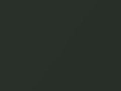 Oak Green Metallic touch-up paint for Porsche, code 22L, 1991