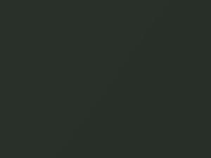 Oak Green Metallic touch-up paint for Porsche, code 22L, 1991