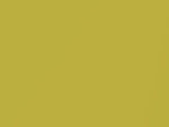Yellow Metallic touch-up paint for Nissan, code E30, 2005
