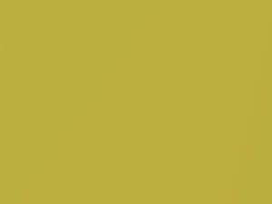 Yellow Metallic touch-up paint for Nissan, code E30, 2005