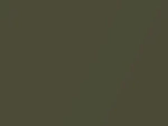 Arbor Green Metallic touch-up paint for Saab 44629, code 301, 2005