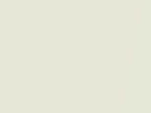 White Crystal Shine Pearl touch-up paint for Lexus RX300, code 065, 65, 2004