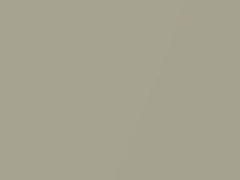 Gold Ash Metallic touch-up paint for Mazda, code 28D, C2, 2005