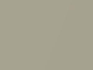 Gold Ash Metallic touch-up paint for Ford Escape, code 7065, C2, M7065A, 2005
