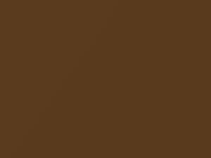 Burnished Copper touch-up paint for Kia, code BY2, 2021