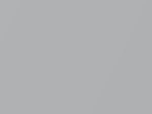 Titanium Metallic touch-up paint for Toyota Yaris, code 1D4, 2011