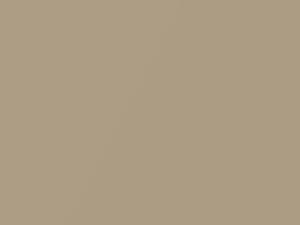 Medium Gold Metallic touch-up paint for Saturn LS1, code 157E, 60, WA157E, 2000