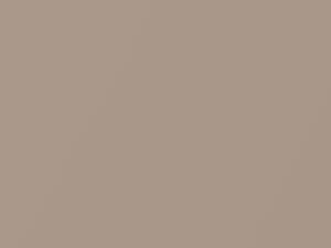 Light Saddle Metallic touch-up paint for Ford Econoline, code 6754, DZ, M6754A, 1998